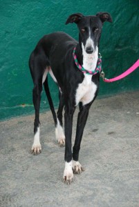 lucy_26 Lucia in Spanien