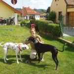 pablop9080060ym7 Neue Familie