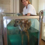 tsampiko_karen_bild_1 Wassertherapie