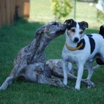 Luela & Max Luela & Max