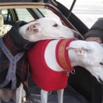 blanca und sara Blanca mit Pflegeschwester Sara