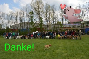 Unsere GiN-Familie