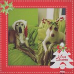 Fröhliche Weihnacht!